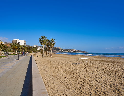 A section of this beach in Benicasim, with palm trees and fine sand