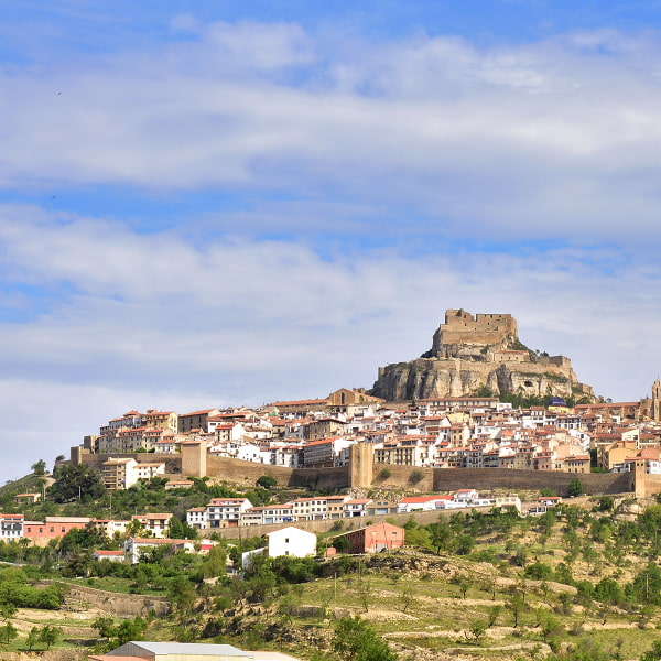 View of the town, with the castle at the top