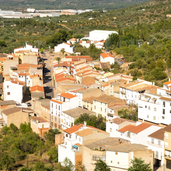 Aerial view of some of the houses in the village