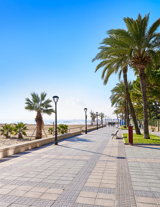 A section of the Benicàssim promenade, with the sea in the background and flanked by palm trees